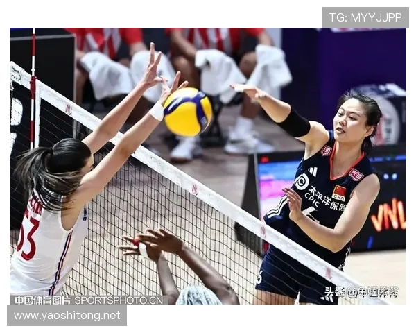 女排联赛新浪体育（女排联赛新闻）sports